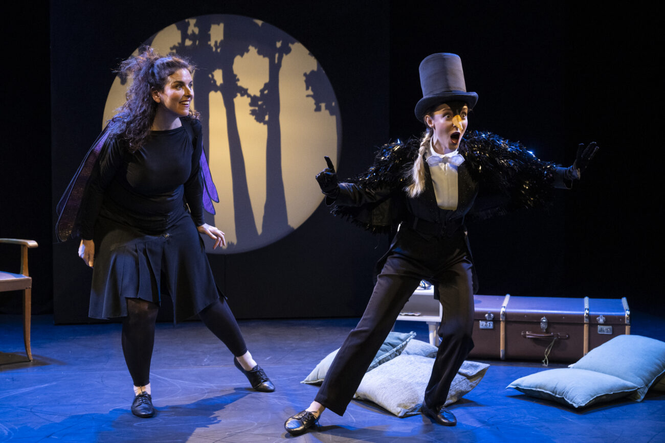photo du spectacle plume montrant deux personnages sur scène