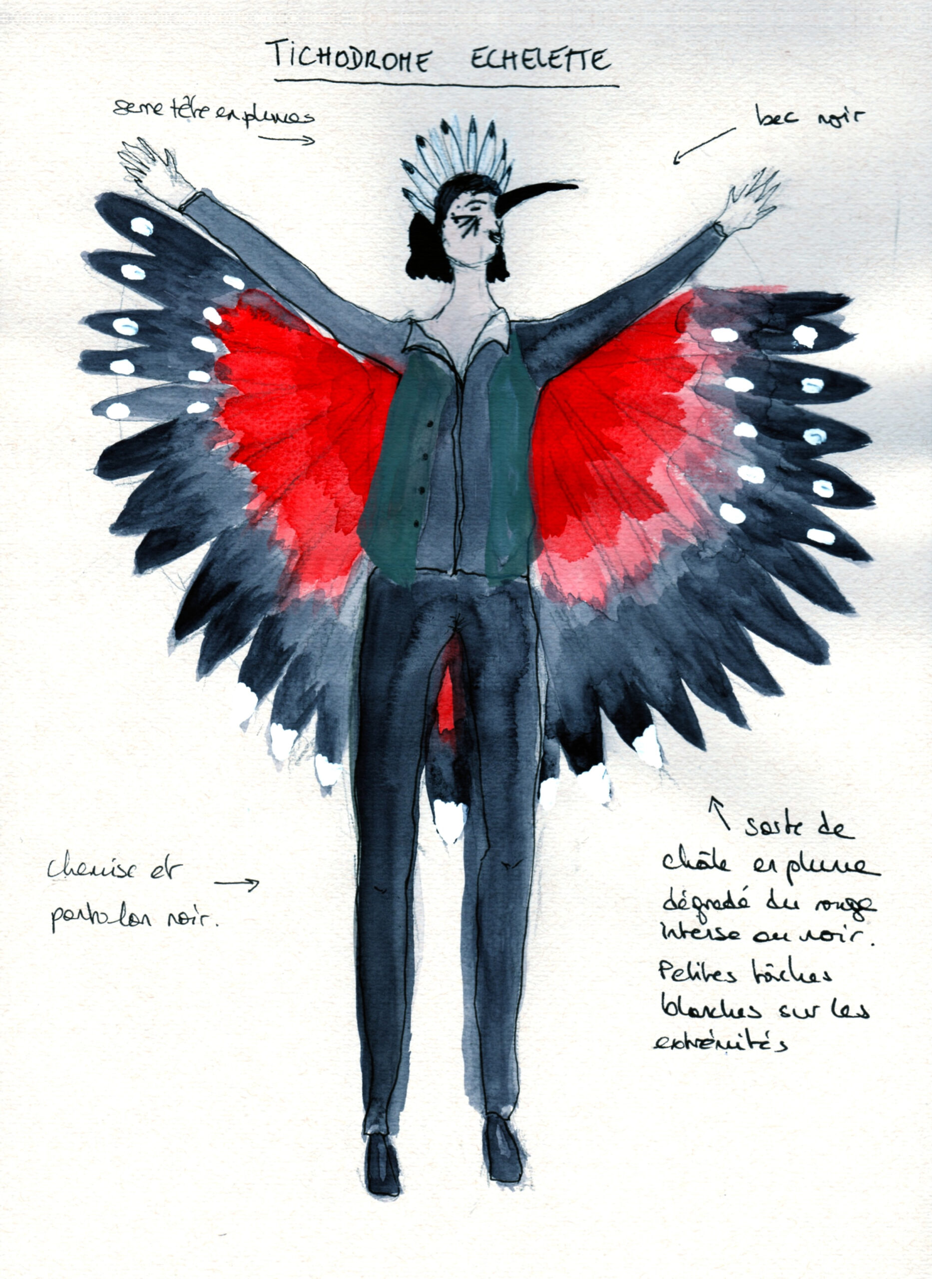 Le colibri